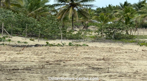 photos for SABANETA DE YASICA: THE LAST LOT WITH DIRECT BEACH LOCATION ON THE NATURAL LA BOKA BEACH